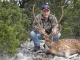Axis Deer Texas 2011